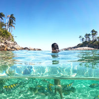 Îles Paradisiaques