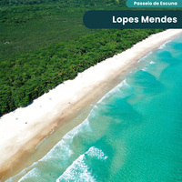 Lopes Mendes